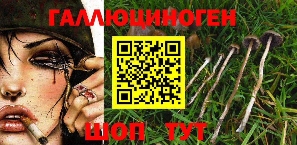 Псилоцибиновые грибы мухоморы  Вход с VPN  Усть-Кут  Псилоцибиновые грибы ЛСД 